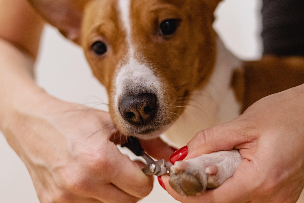Nail Trimming